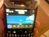 black berry-422287_10150574321563643_619548642_8728742_102218257_n.jpg
