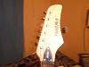 Vendo o Cambio guitarra electrica-935593_10201951415204767_9750460_n.jpg