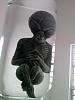Venta de Garage (MicroTheater, Camara, Libro, Extraterrestre).-photo-0587.jpg