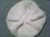 vendo accesorios para invierno-boina-blanca-100.00.jpg