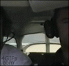 El hilo de los gifs-dog-airplane-loop.gif
