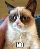 Emoticones-39215-grumpy-cat-no-rwoe.jpeg