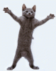 Manual de Supervivencia Escolar de Fime-eab3cc85c50c637d089d04ef3ea8a86d.gif