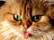 Avatar de elochoa