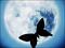 Avatar de Karen Moya