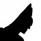 Avatar de lefrank