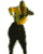 Mc Hammer