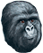 Rustled Jimmies