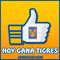 tigres