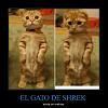 members/kamijo/albums/imagenes-del-monton/279-a.jpg