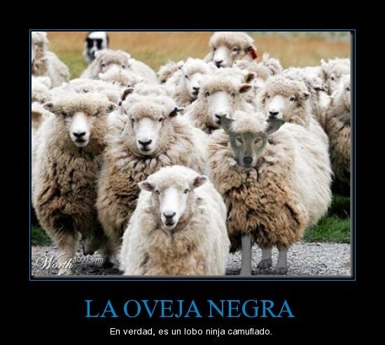 Oveja ninja camuflada