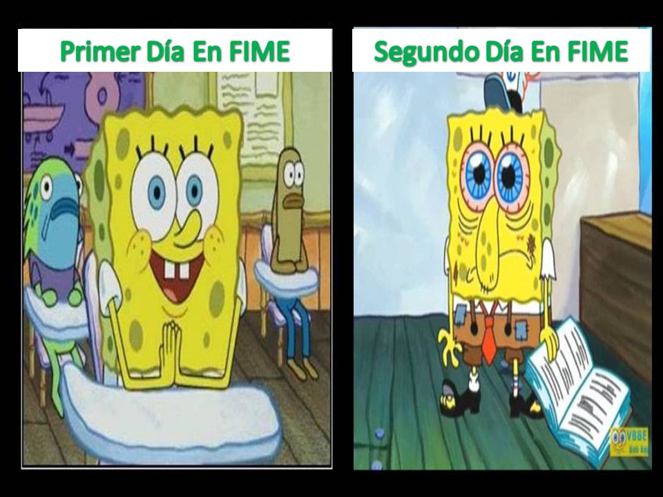 Mi Primer Y Segundo D�a en Fime