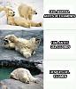 members/lokilaufeyson/albums/random-escolar/2631-541109-527260360633450-1309454906-n.jpg