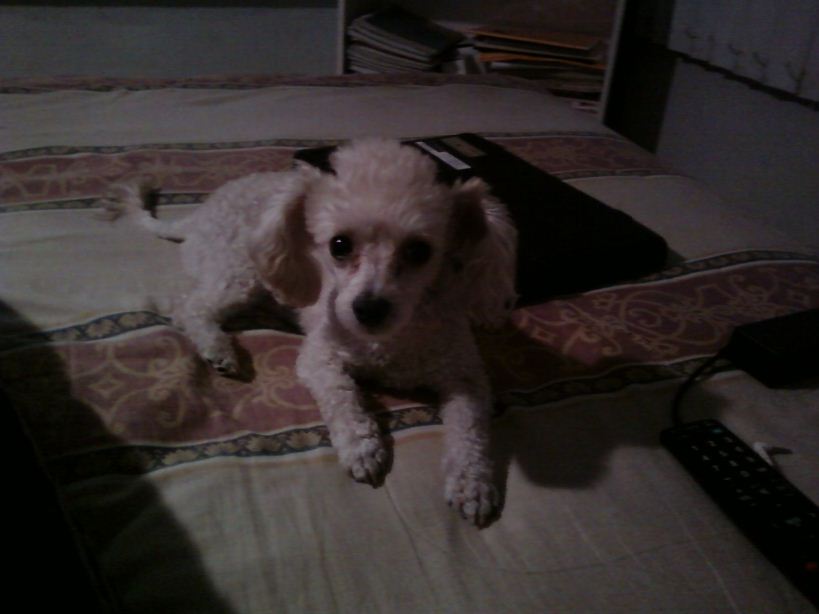 chirisss