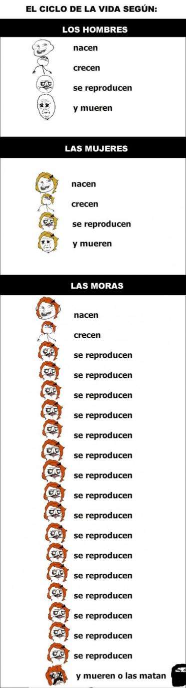 La vida seg�n mora